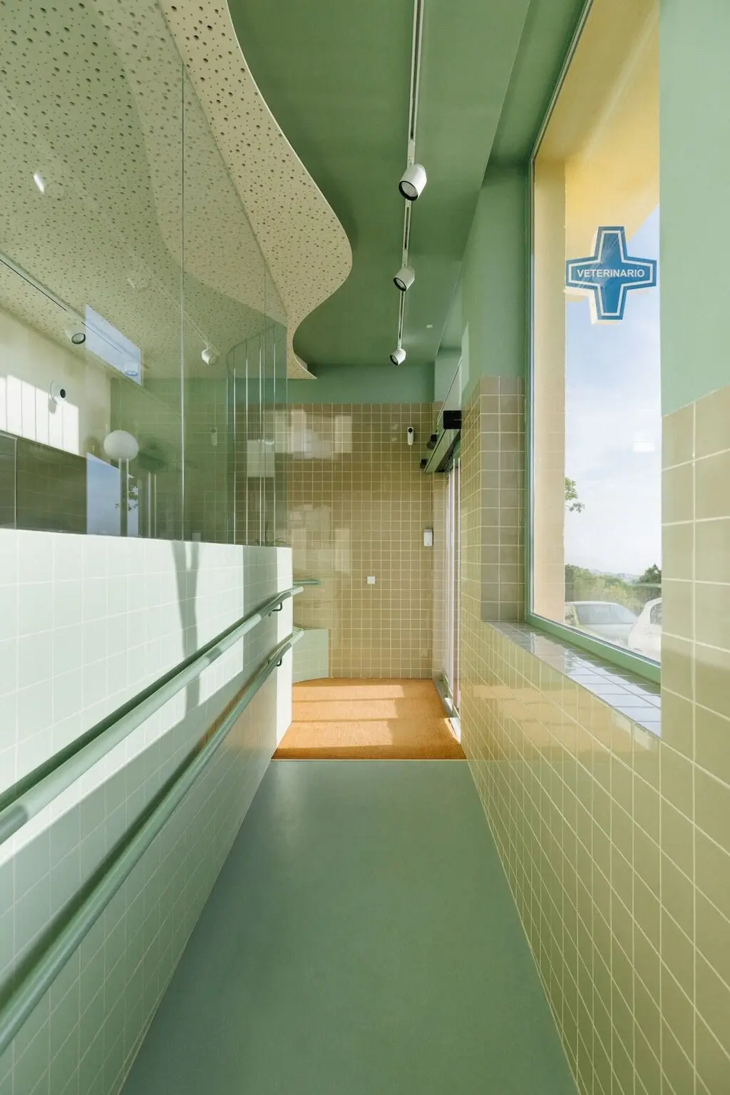 Clinique vétérinaire "Ecovet", Santa Cruz de Tenerife, par FIVE OH FIVE Design